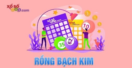 Học hỏi kinh nghiệm soi cầu hay ho đến từ các chuyên gia