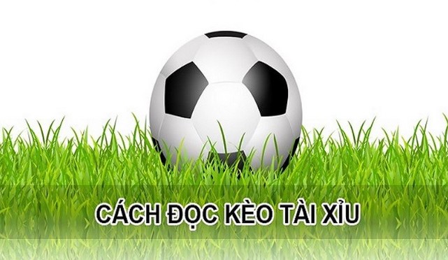 Học hỏi thêm kinh nghiệm soi kèo tài xỉu bóng đá từ cao thủ