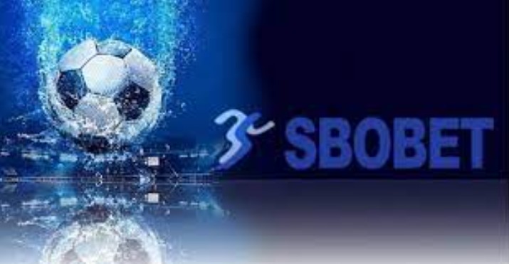 Bộ môn bóng rổ được nhiều hội viên yêu thích với nhiều giải đấu hàng đầu