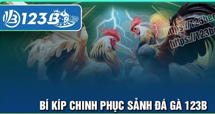 Mẹo soi kèo trận đấu giữa các chiến kê siêu hiệu quả cho thành viên nhà cái