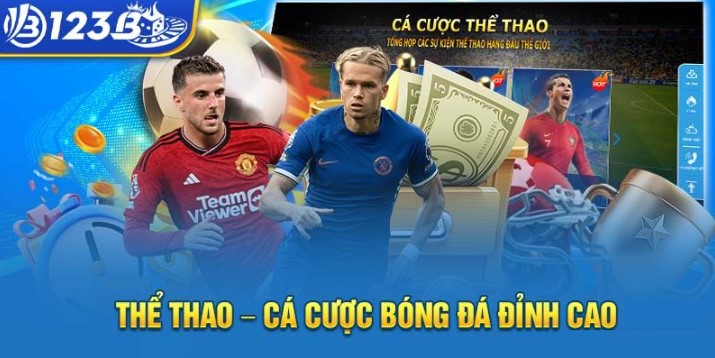 Nhiều lý do khiến sảnh thể thao 123B được nhiều người yêu thích