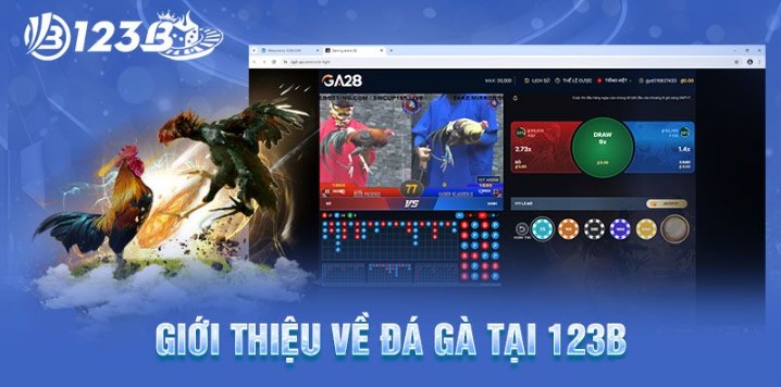 Thông tin giới thiệu về đá gà 123B đến quý hội viên gia nhập nhà cái