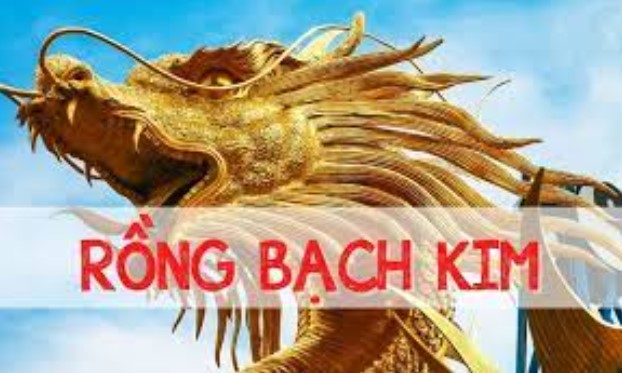 Phương pháp tần xuất hiện đầu lô khi soi cầu hiệu quả cao